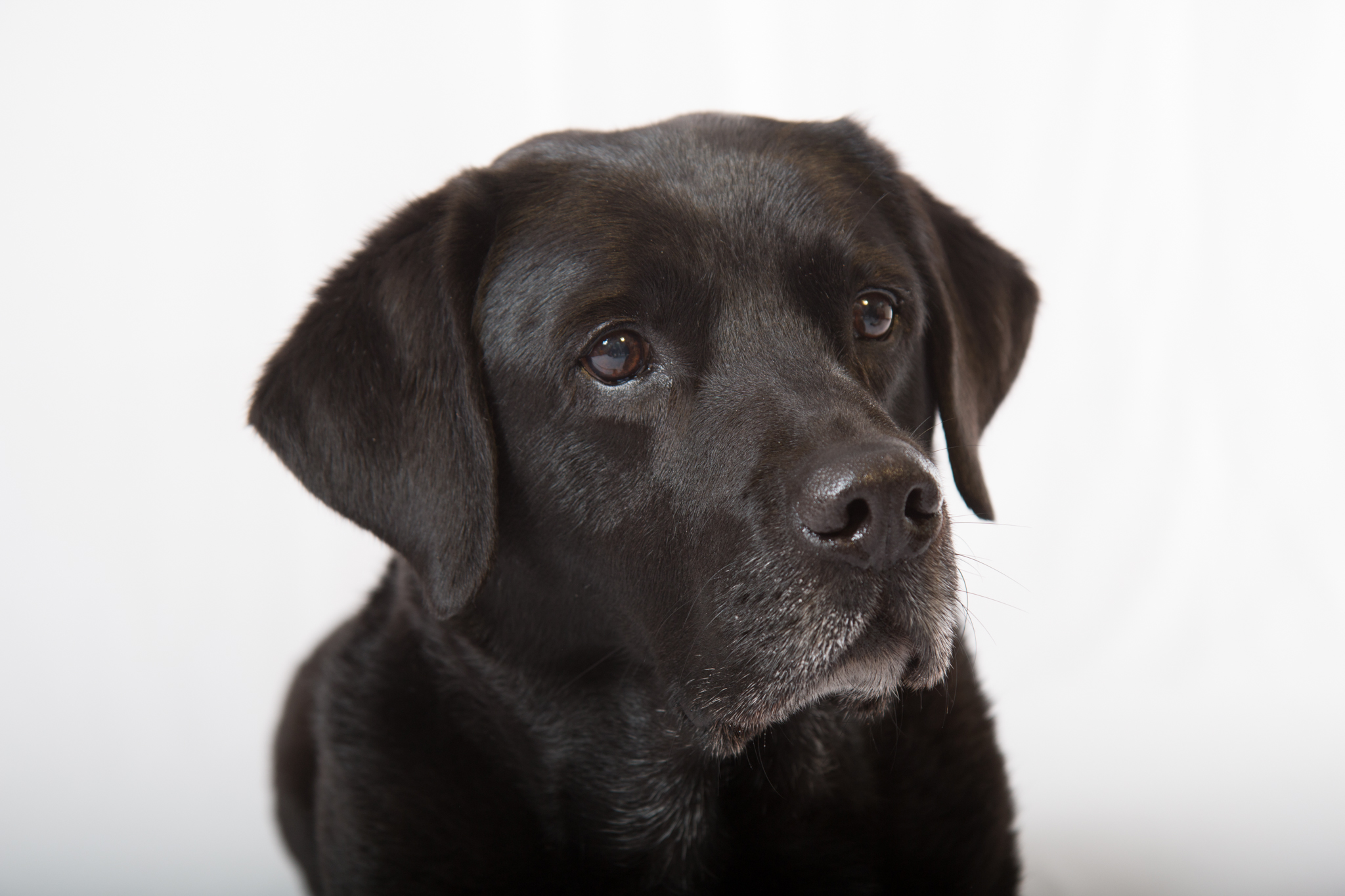 20170417  AZ Lasse IMG 7789