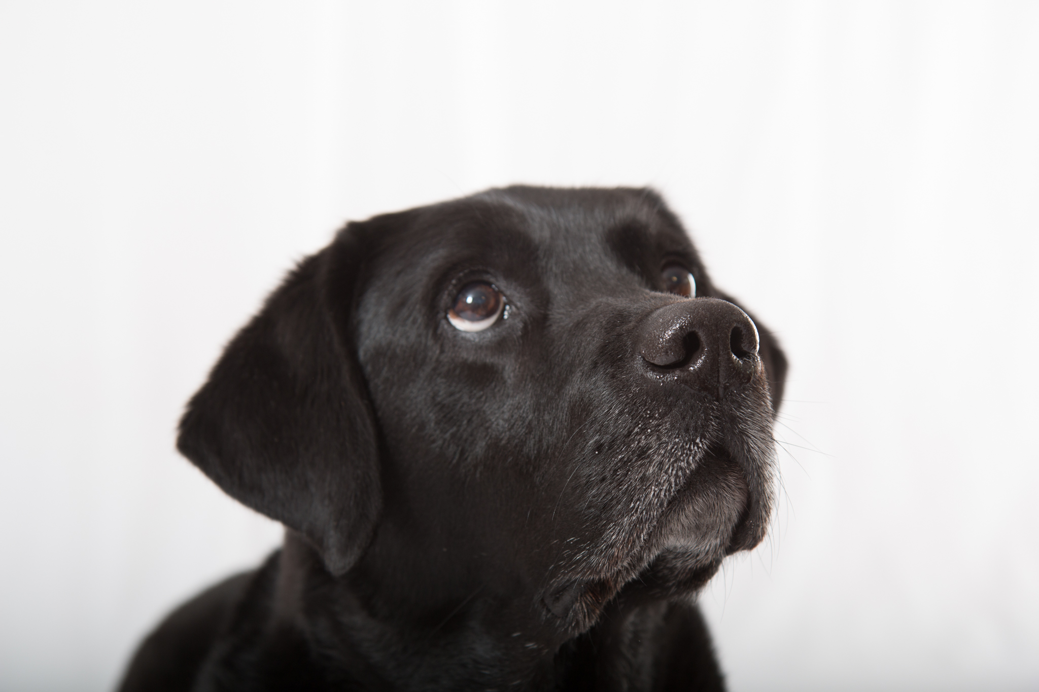 20170417  AZ Lasse IMG 7793