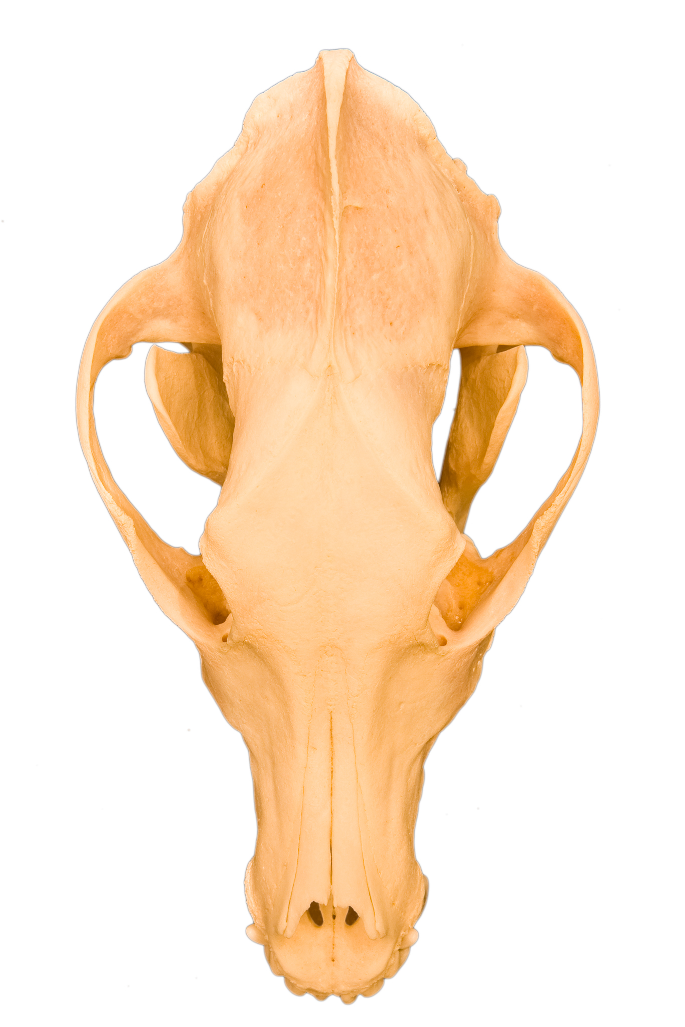 20080910  AZ Sonstige IMG 0002