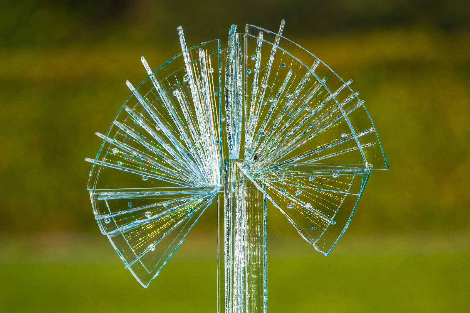 GlasPlastikUndGarten2016 006