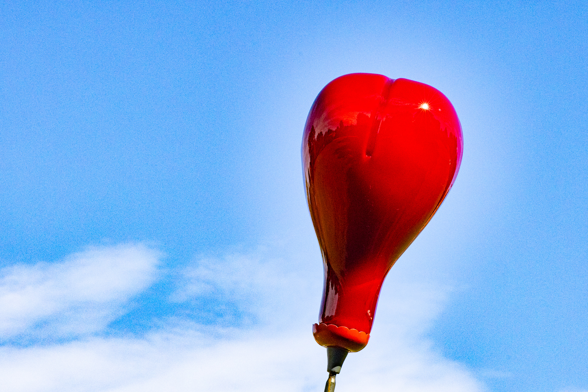 Glasplastik und Garten in Munster 2025