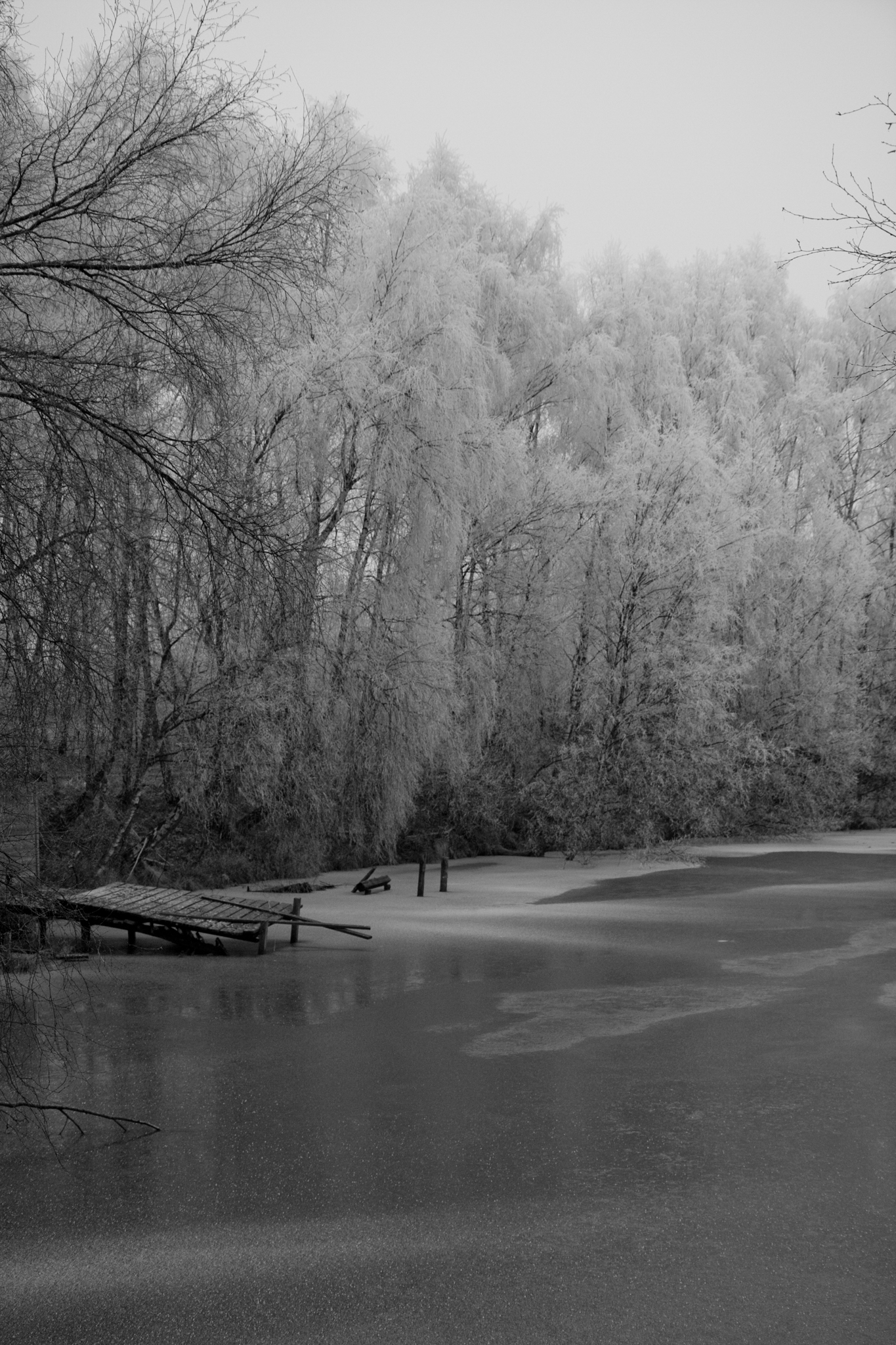 Die Natur kann Schwarzweiß